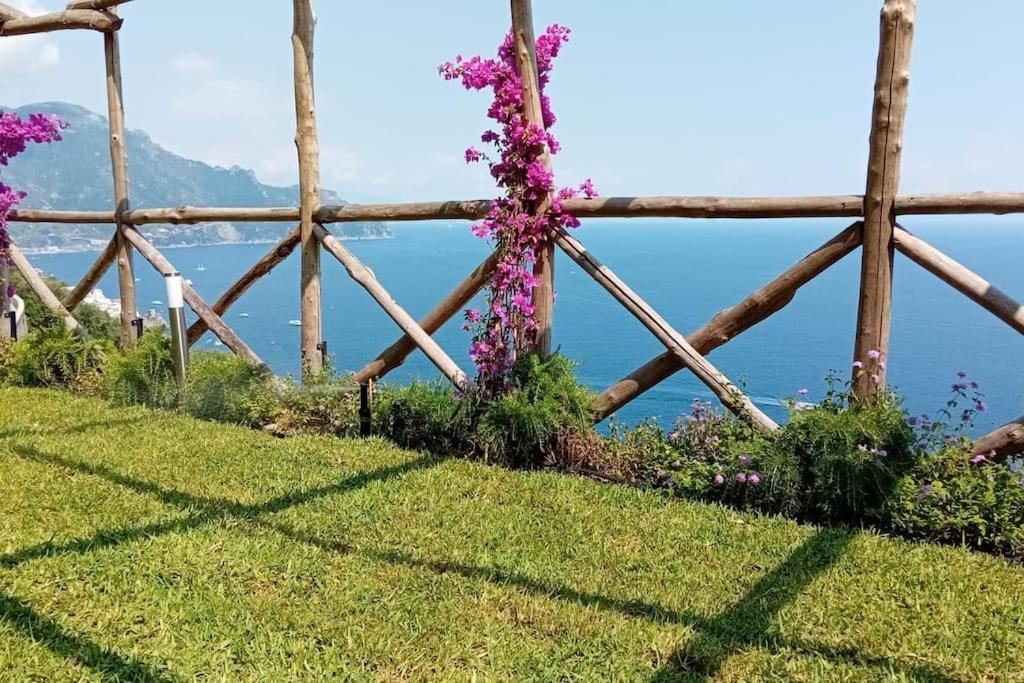 Alba - Rubino Amalfi