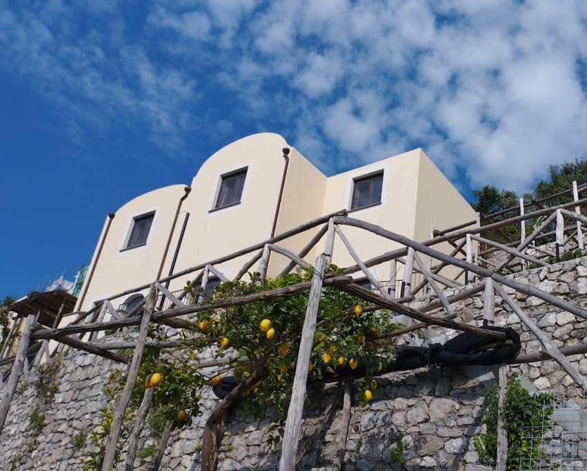 Alba - Rubino * Amalfi