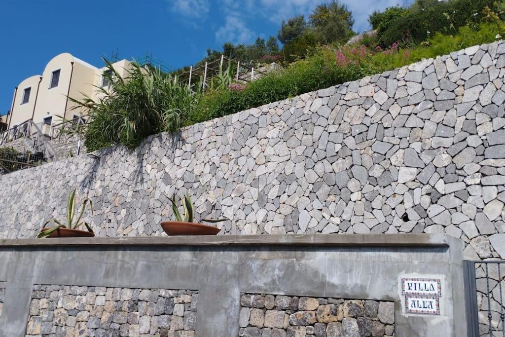 Alba - Rubino Amalfi