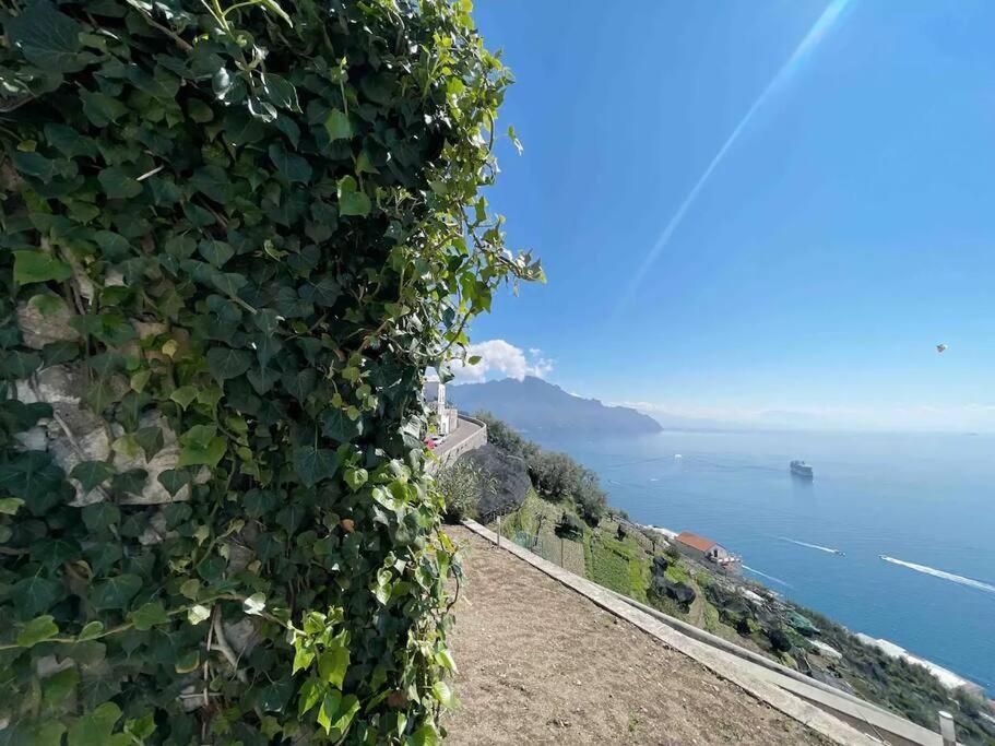 Alba - Rubino * Amalfi